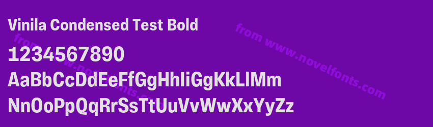 Vinila Condensed Test BoldPreview Vinila Condensed Test BoldPreview