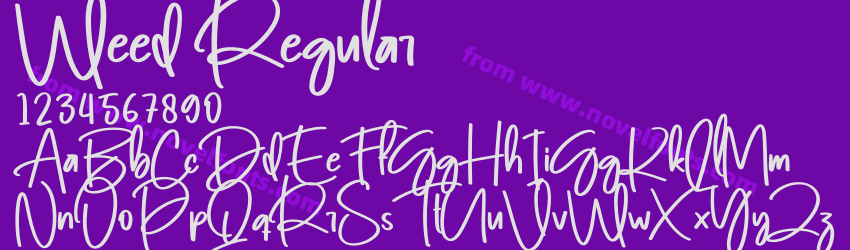 Weed RegularPreview Weed RegularPreview