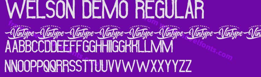 Welson Demo RegularPreview Welson Demo RegularPreview