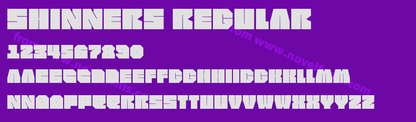 shinners RegularPreview shinners RegularPreview