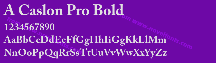 A Caslon Pro BoldPreview A Caslon Pro BoldPreview