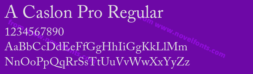A Caslon Pro RegularPreview