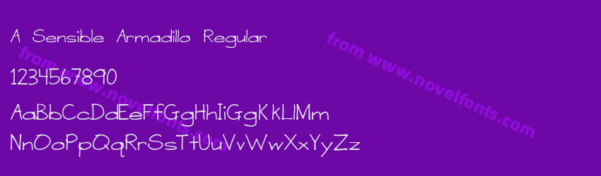 A Sensible Armadillo RegularPreview A Sensible Armadillo RegularPreview