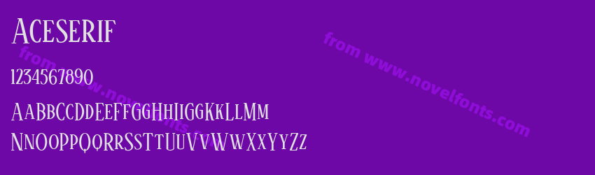 AceserifPreview AceserifPreview