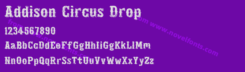 Addison Circus DropPreview Addison Circus DropPreview