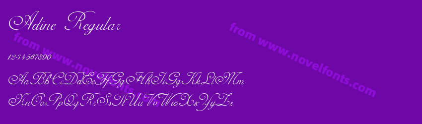 Adine RegularPreview Adine RegularPreview