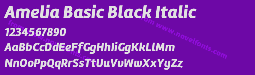 Amelia Basic Black ItalicPreview Amelia Basic Black ItalicPreview