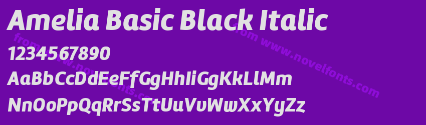Amelia Basic Black ItalicPreview Amelia Basic Black ItalicPreview
