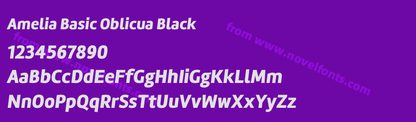 Amelia Basic Oblicua BlackPreview Amelia Basic Oblicua BlackPreview
