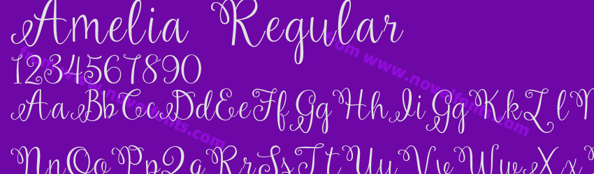 Amelia RegularPreview Amelia RegularPreview