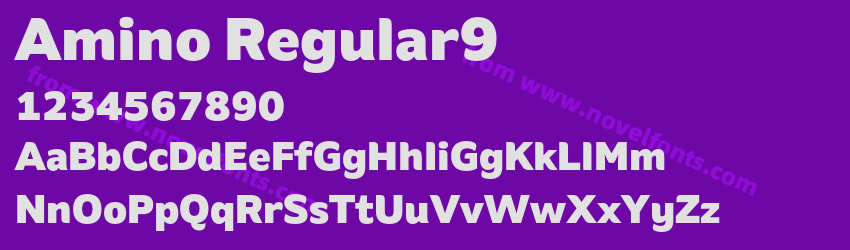 Amino Regular9Preview Amino Regular9Preview