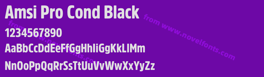 Amsi Pro Cond BlackPreview Amsi Pro Cond BlackPreview