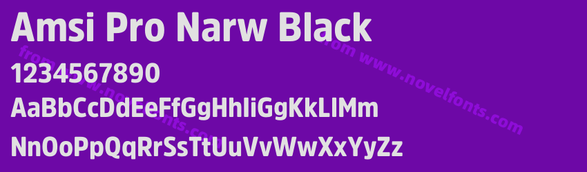 Amsi Pro Narw BlackPreview Amsi Pro Narw BlackPreview