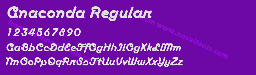 Anaconda RegularPreview Anaconda RegularPreview