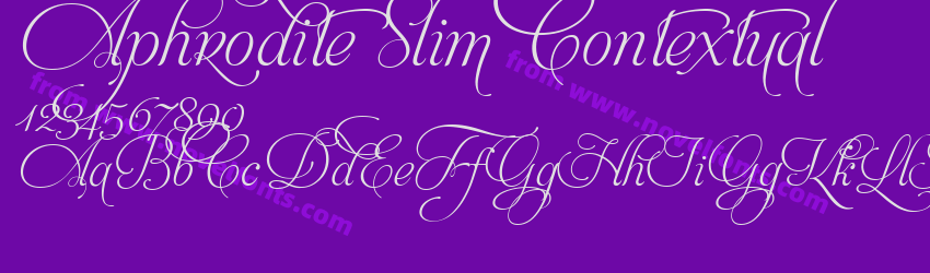 Aphrodite Slim ContextualPreview Aphrodite Slim ContextualPreview
