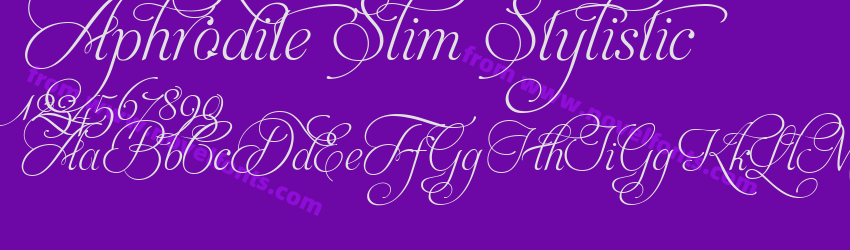 Aphrodite Slim StylisticPreview Aphrodite Slim StylisticPreview