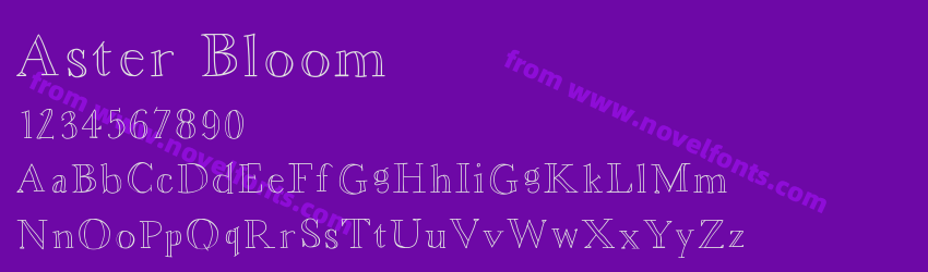 Aster BloomPreview Aster BloomPreview