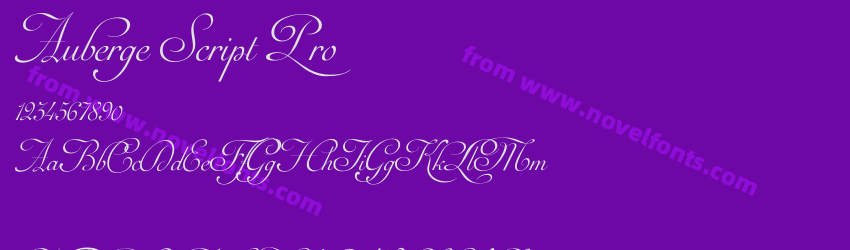 Auberge Script ProPreview Auberge Script ProPreview