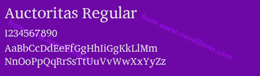 Auctoritas RegularPreview Auctoritas RegularPreview