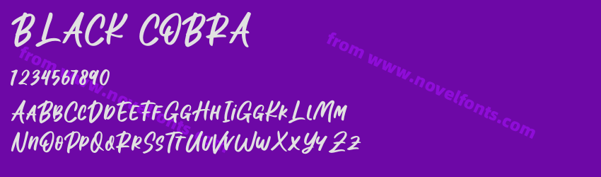 BLACK COBRAPreview BLACK COBRAPreview