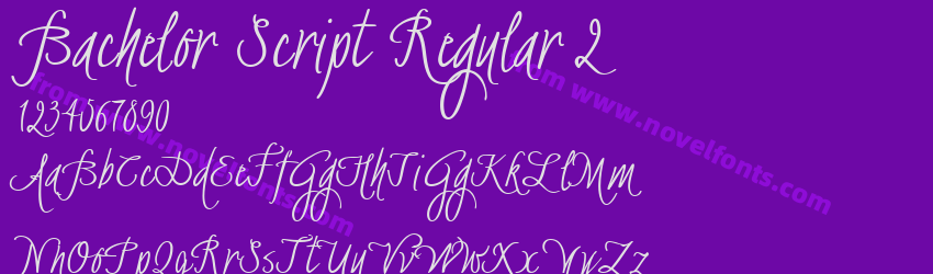 Bachelor Script Regular 2Preview Bachelor Script Regular 2Preview