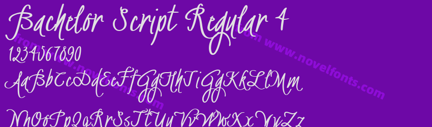 Bachelor Script Regular 4Preview Bachelor Script Regular 4Preview