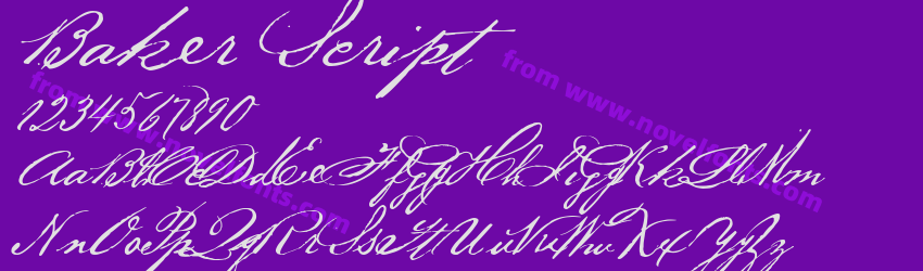 Baker ScriptPreview