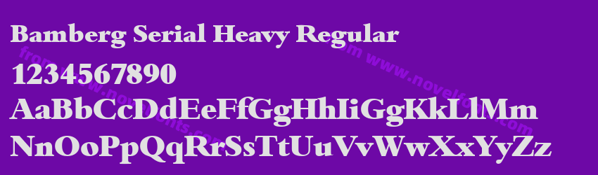 Bamberg Serial Heavy RegularPreview Bamberg Serial Heavy RegularPreview