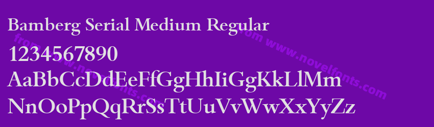 Bamberg Serial Medium RegularPreview Bamberg Serial Medium RegularPreview
