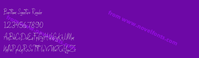 Barithom Signature RegularPreview Barithom Signature RegularPreview
