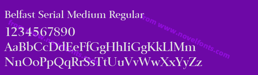 Belfast Serial Medium RegularPreview Belfast Serial Medium RegularPreview