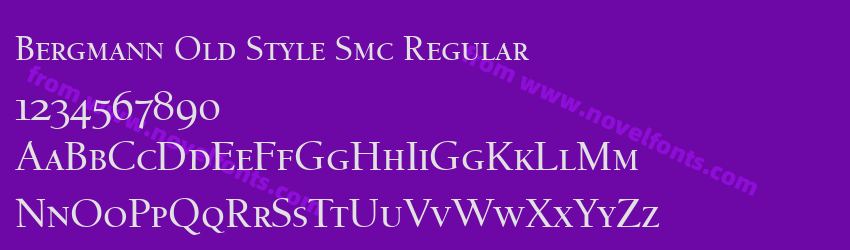 Bergmann Old Style Smc RegularPreview Bergmann Old Style Smc RegularPreview