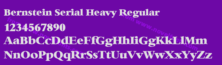 Bernstein Serial Heavy RegularPreview