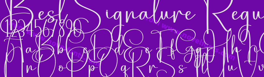 Best Signature RegularPreview Best Signature RegularPreview