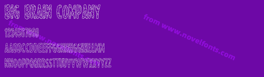 Big Brain CompanyPreview Big Brain CompanyPreview