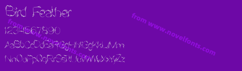 Bird FeatherPreview Bird FeatherPreview