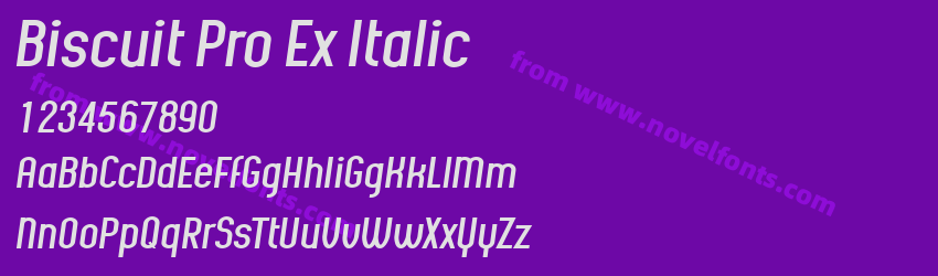 Biscuit Pro Ex ItalicPreview Biscuit Pro Ex ItalicPreview