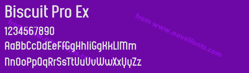 Biscuit Pro ExPreview Biscuit Pro ExPreview