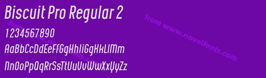 Biscuit Pro Regular 2Preview Biscuit Pro Regular 2Preview