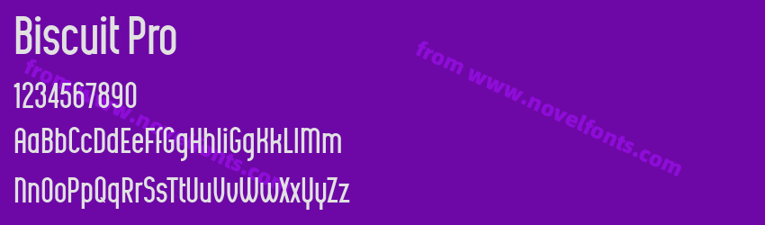 Biscuit ProPreview Biscuit ProPreview