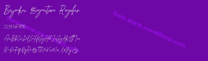 Biyenka Signature RegularPreview Biyenka Signature RegularPreview