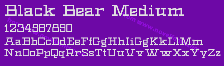 Black Bear MediumPreview Black Bear MediumPreview