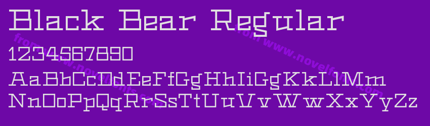 Black Bear RegularPreview Black Bear RegularPreview