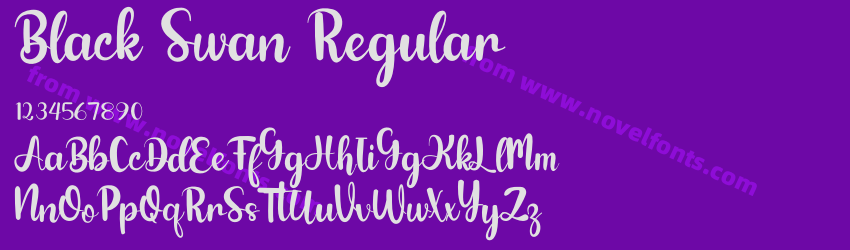 Black Swan RegularPreview Black Swan RegularPreview