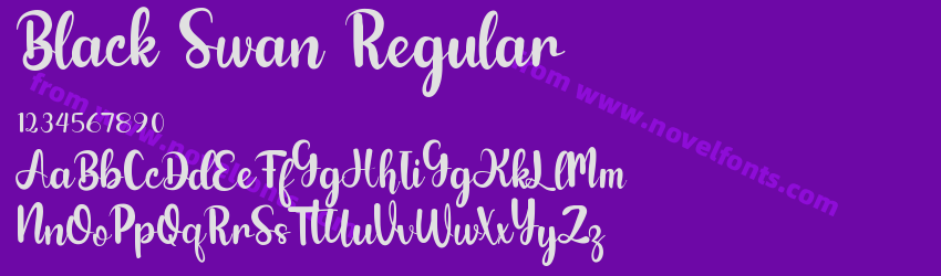Black Swan RegularPreview Black Swan RegularPreview