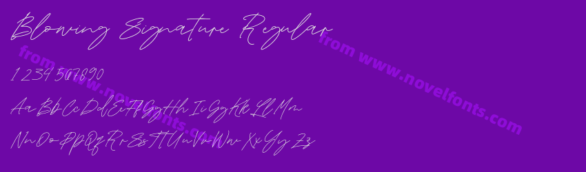 Blowing Signature RegularPreview Blowing Signature RegularPreview