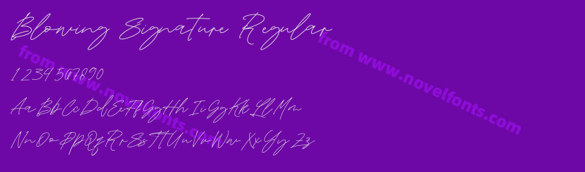 Blowing Signature RegularPreview Blowing Signature RegularPreview