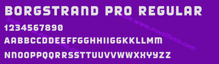 Borgstrand Pro RegularPreview Borgstrand Pro RegularPreview