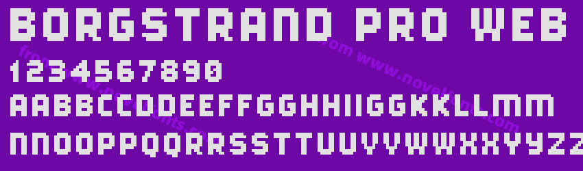Borgstrand Pro WebPreview Borgstrand Pro WebPreview