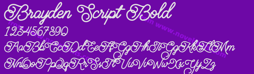 Brayden Script BoldPreview Brayden Script BoldPreview